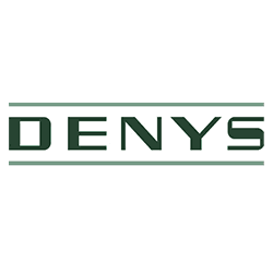 DENYS jobs logo